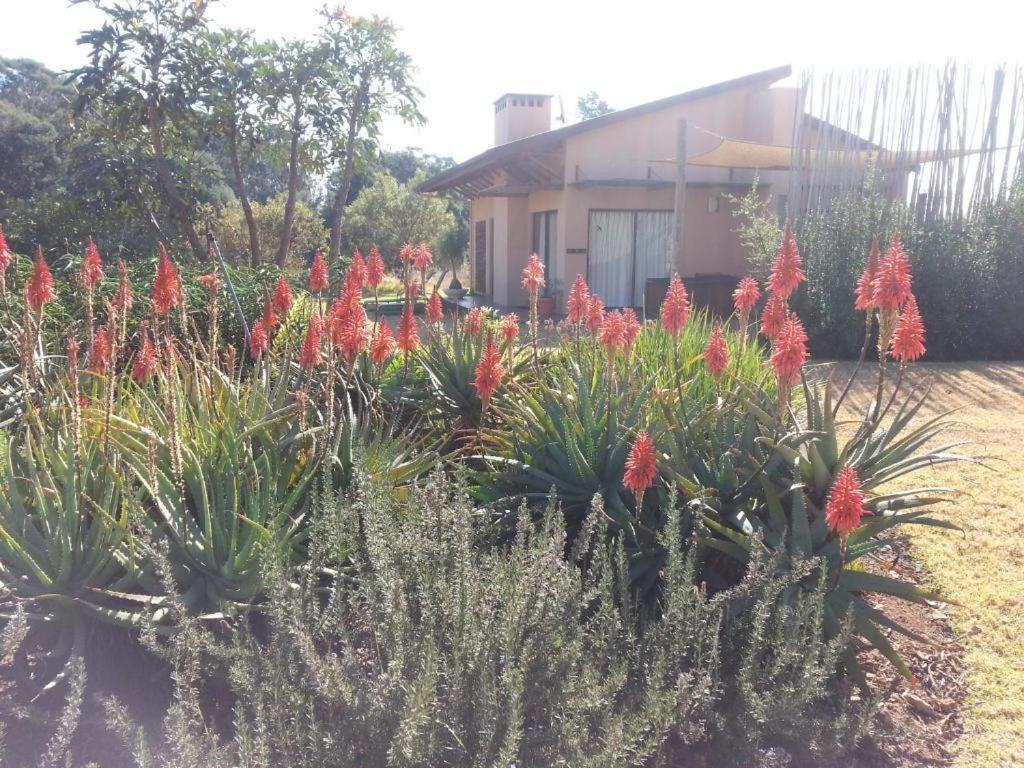 Champagne Valley Ama Casa Cottages מראה חיצוני תמונה