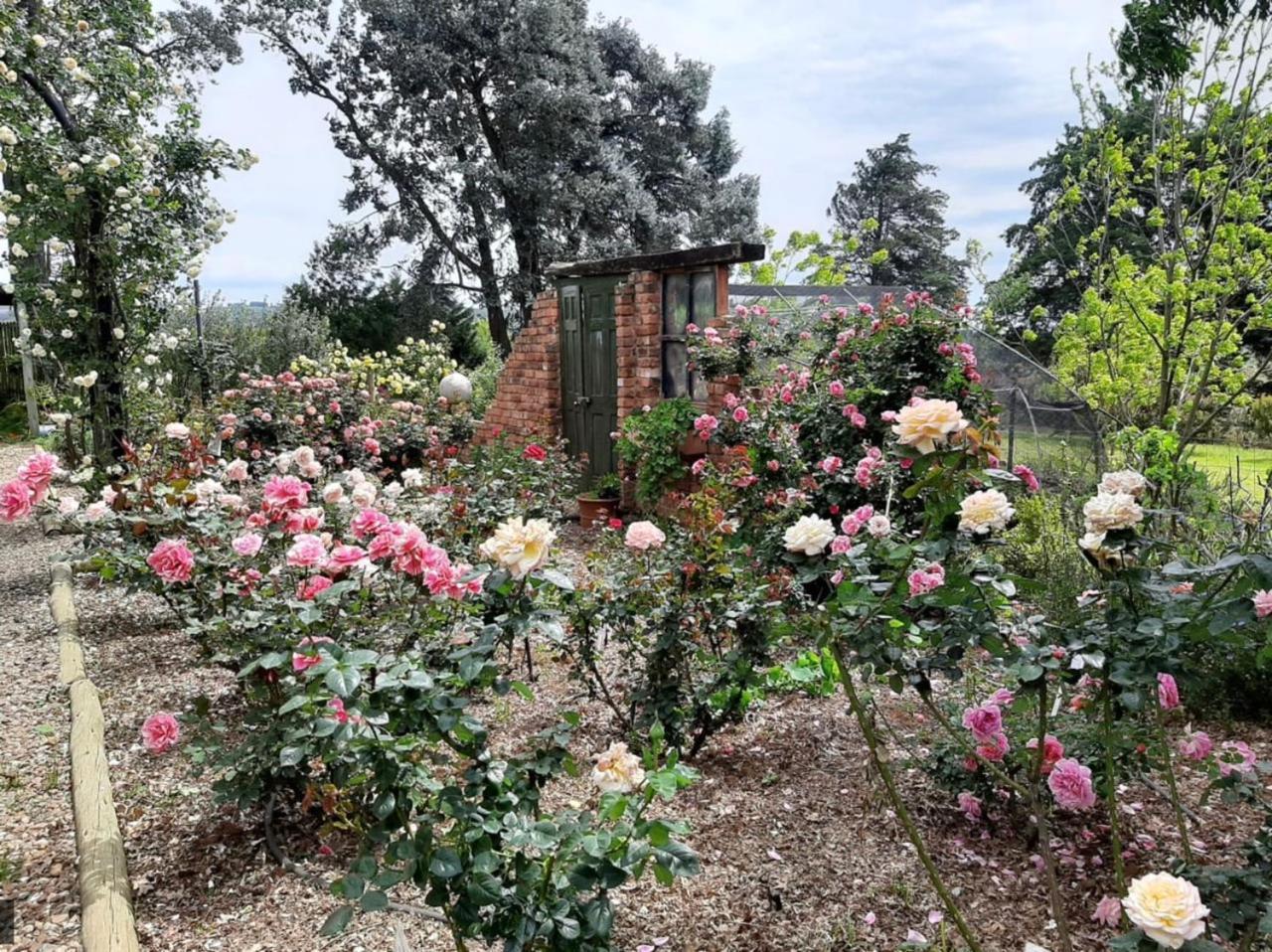 Champagne Valley Ama Casa Cottages מראה חיצוני תמונה
