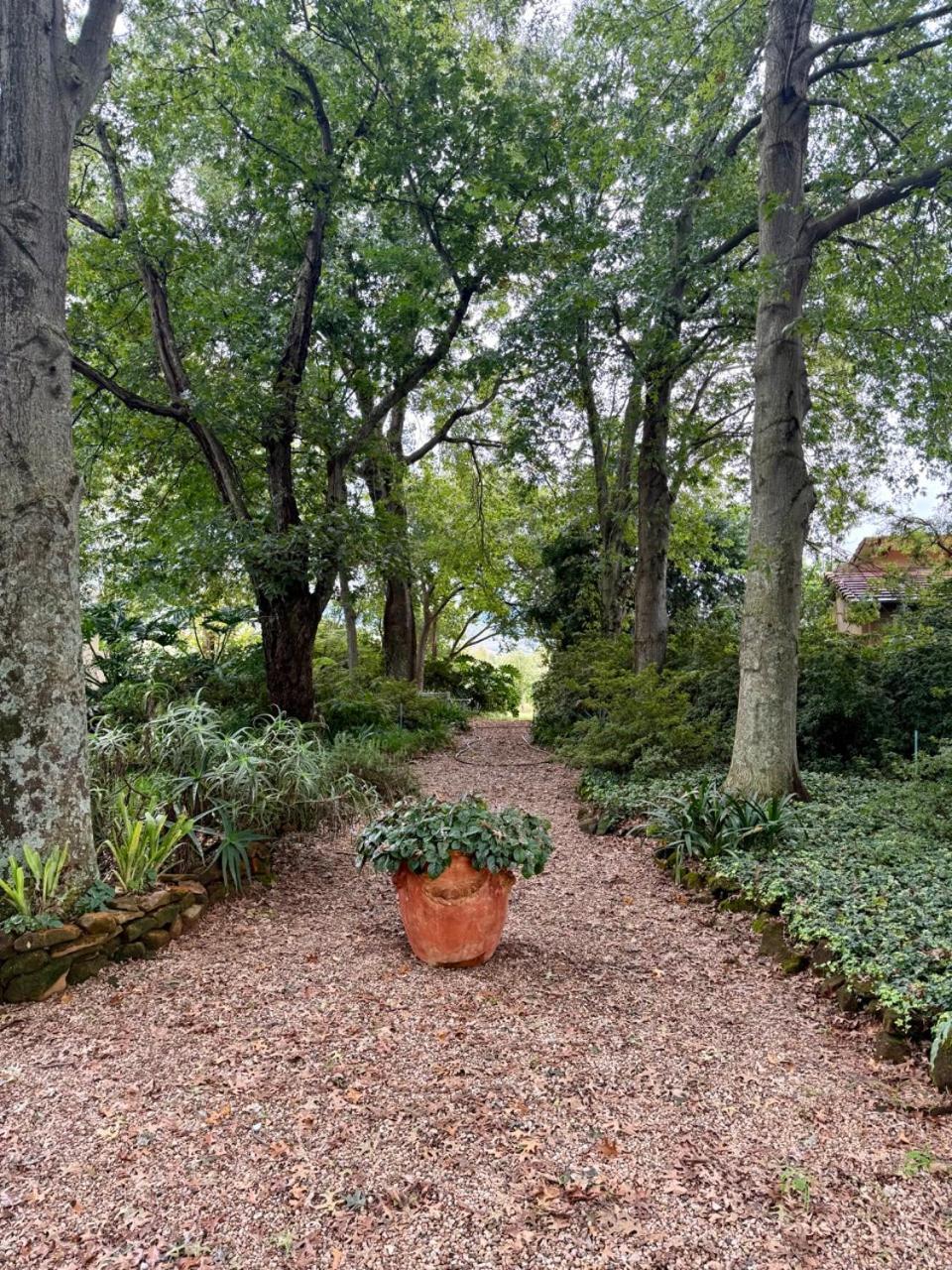 Champagne Valley Ama Casa Cottages מראה חיצוני תמונה